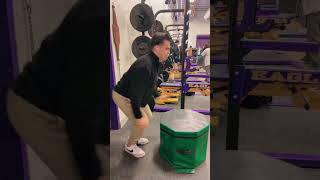 Famous Weekly Assignment-17 Video analysis of the box jump Wealth
