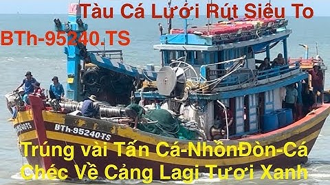 Tàu Cá Lưới Rút Siêu To-BTh-95240.TS Trúng Vài Tấn Cá Nhồn Đòn-1 con Nặng-5-10kg Khẩm Tàu Về cảng LG