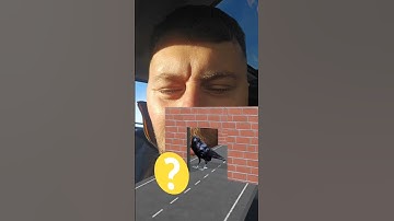 Animals Sound Voice Filter Challenge  #maroi #funny   #memes