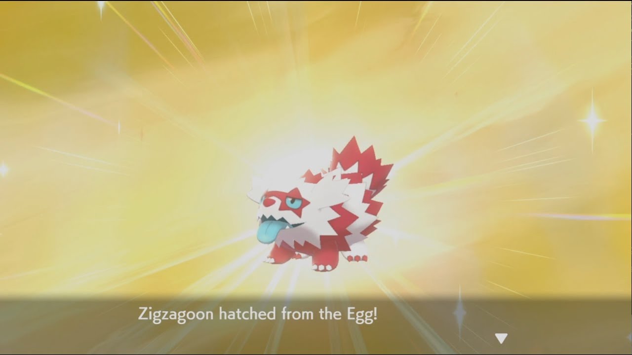 SHINY GALARIAN ZIGZAGOON — FOUR Eggs by Masuda Method in Pokémon Sword