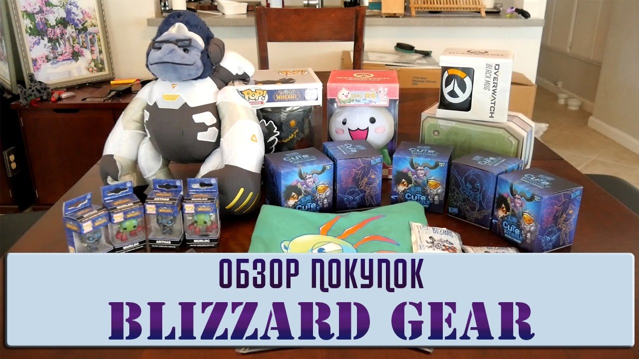 BlizzCon 2016: Обзор покупок из Blizzard Gear