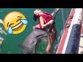 AMAZING DOLPHINS VIDEOS - FUNNY DOLPHINS COMPILATION