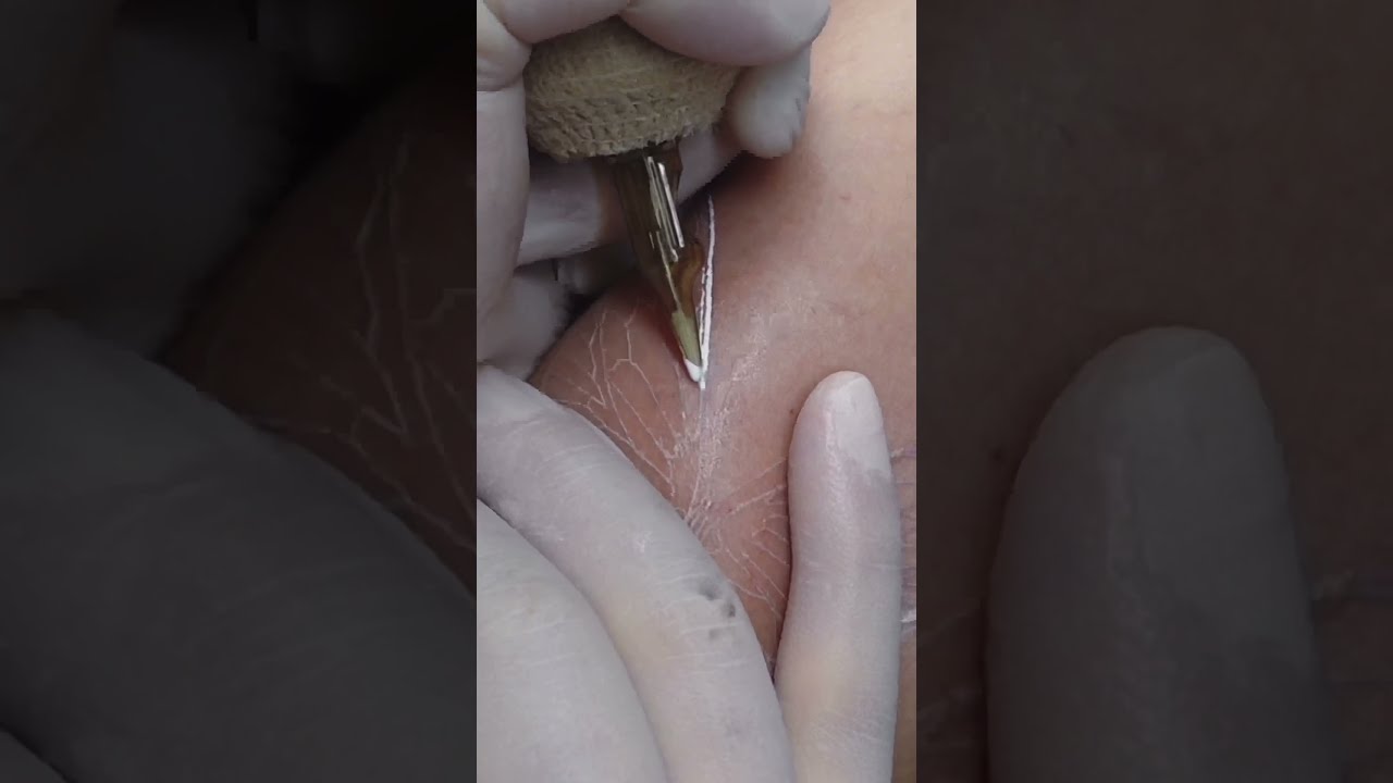 White tattoo / butterfly tattoo / mini tattoo / fineline tattoo 