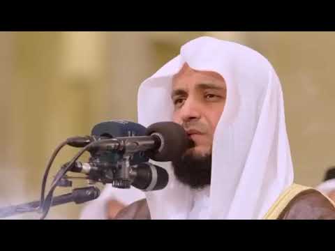 ولو ترى إذ المجرمون ناكسوا رؤوسهم