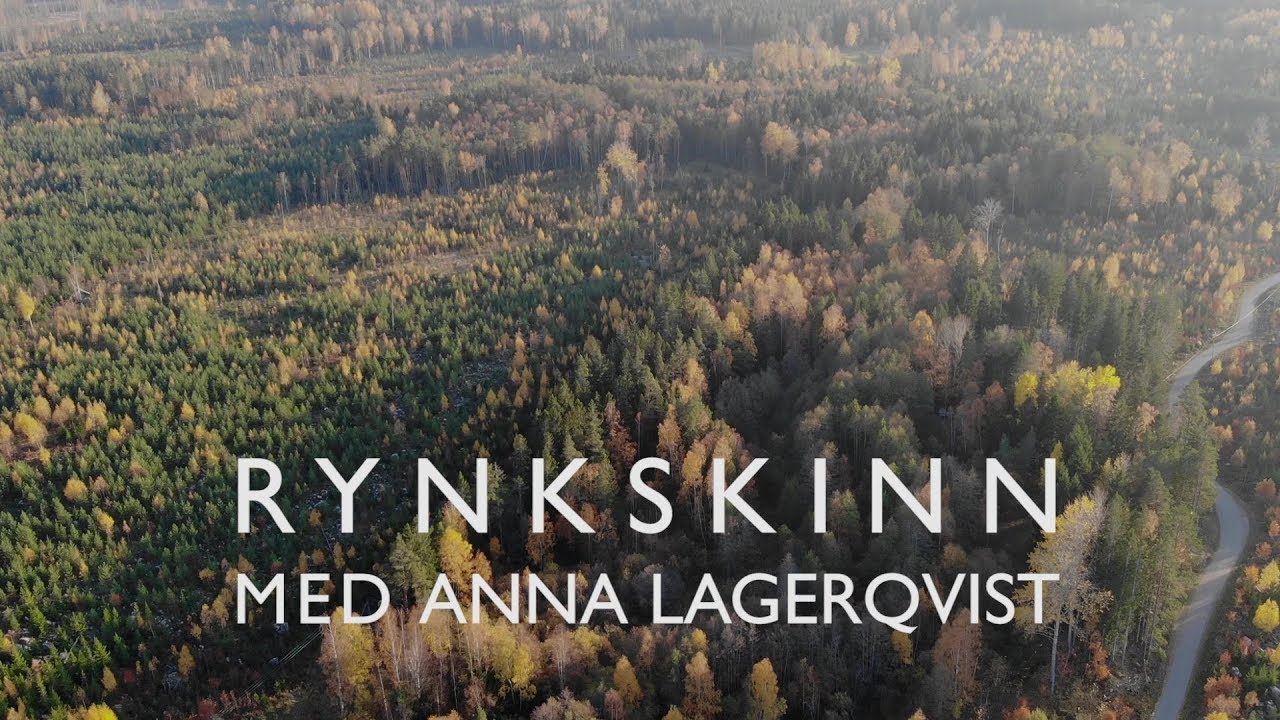 Signalarter: rynkskinn