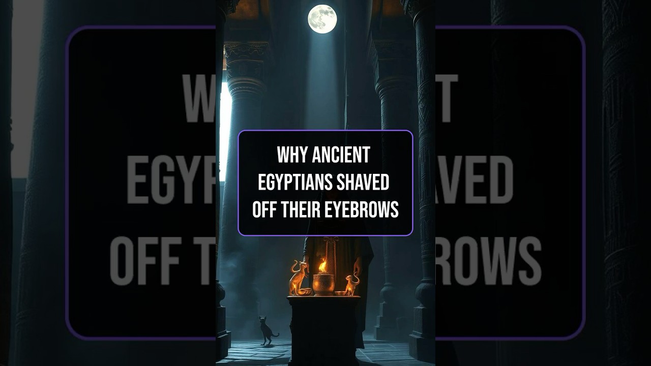 Egypt's Sacred Cats Explained: The Truth Behind Shaving Your Eyebrows