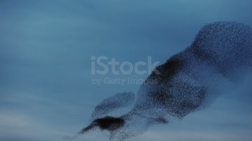 Istock By Getty Images