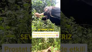 Yerinde Olsam Bu Sayfayı Kaybetmezdim✅