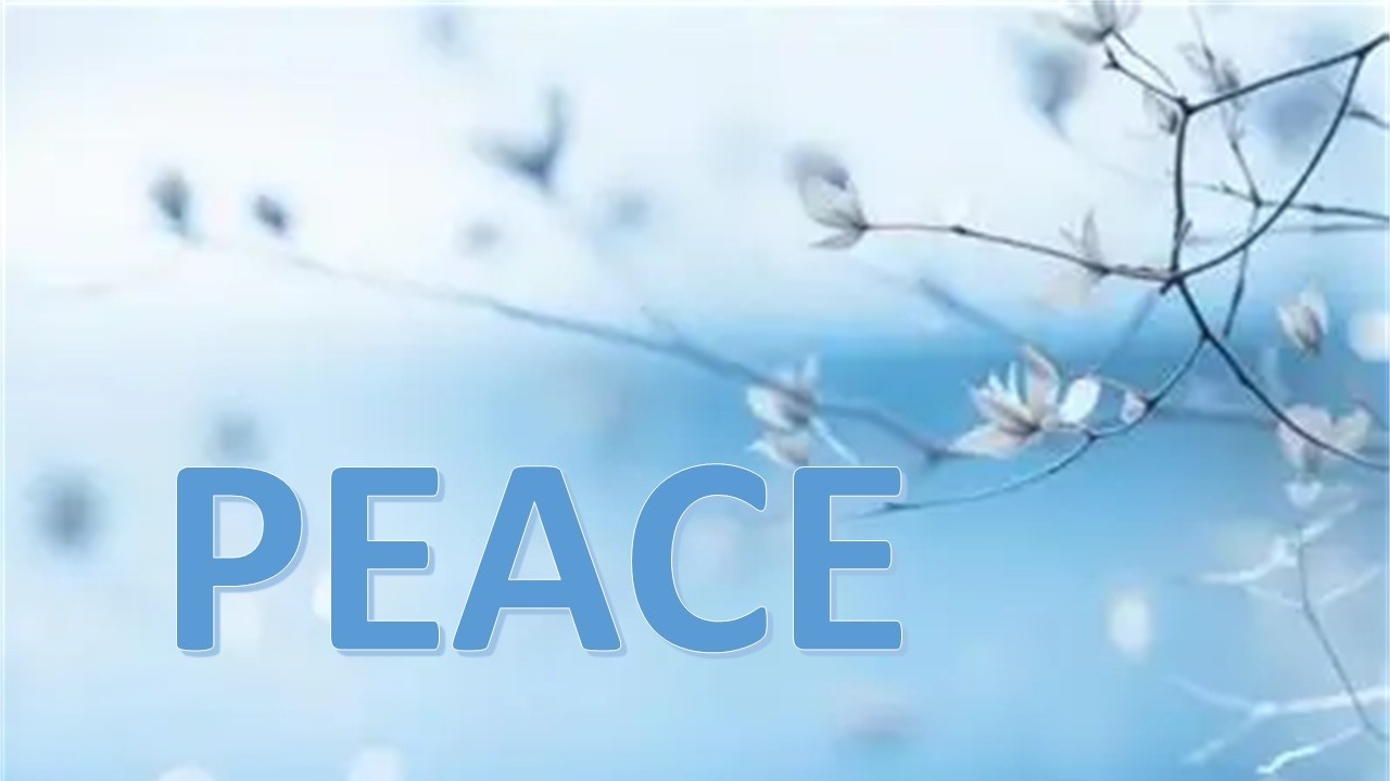 Trinity Lutheran Church Worship Service, June 7, 2026