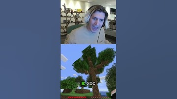 xQc finds the rarest tree spawn in Minecraft 😲