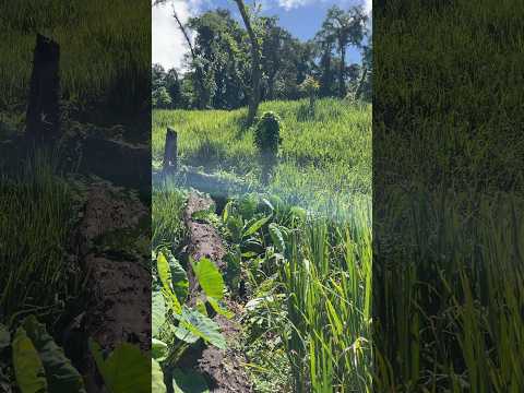 Visiting My Mom Keti