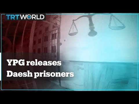 YPG released more than 800 Daesh prisoners in Tal Abyad