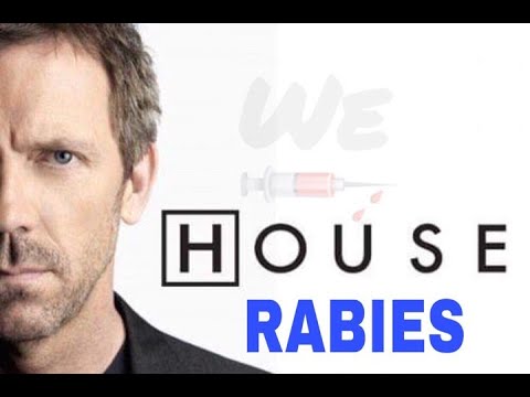 rabies-/-house-md
