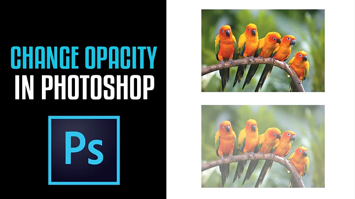 How to change The Opacity of an Image in Photoshop CS6