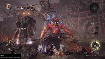 Nioh Iai Turtle Style Talisman Way of the Wise