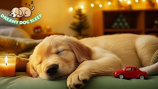 12 Hours Dog Calming Music 🎶 Anti Anxiety Music for Dogs 🐕 Dog Music To Calm Them
