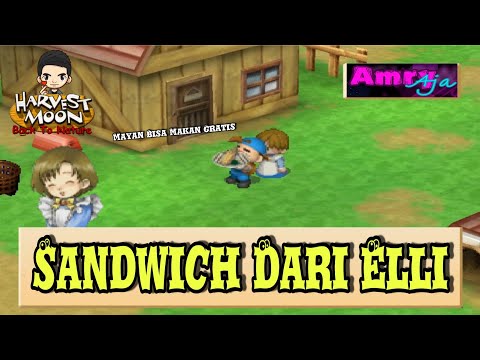 Harvest Moon Sandwiches
