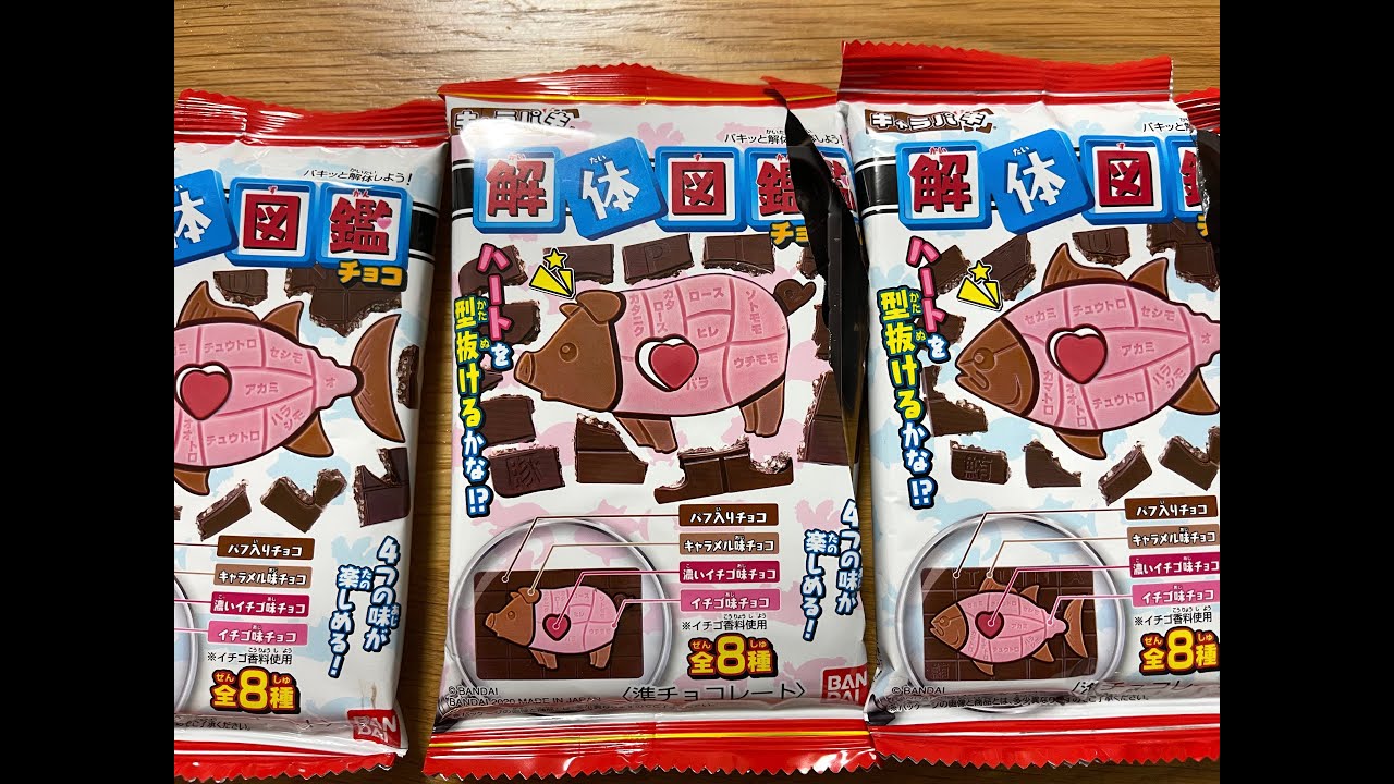 シークレットが2つも出ました キャラパキ解体図鑑チョコを4つ開封 子供向け Chocolate Kids Youtube