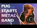 Dog metal  the bubbas  who poo pood in my house