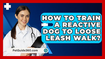 How To Train A Reactive Dog To Loose Leash Walk? - PetGuide360.com