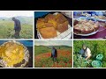 جونا ضياف من بعيد طالبين ضيف الله بهم فرحنا على قد الحال