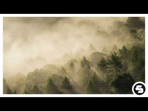 Tonton Now O Later feat. Jaime Deraz - Out of the Woods di YouTube