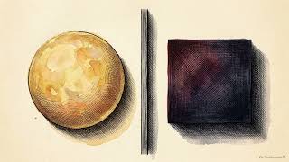 The Fractal Universe of Ibn Arabi  Ontology, Text, and the Perf