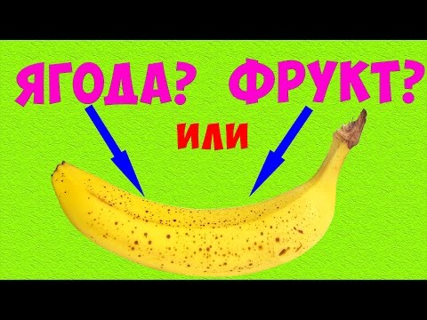 Типы личности: узнай, кто ты