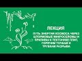 Сергей Зимов: Путь энергии космоса через штормовые микросейсмы и приливы | Вилла Папирусов