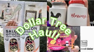 XL Dollar Tree Haul! 🛍Plus Bonus footage!