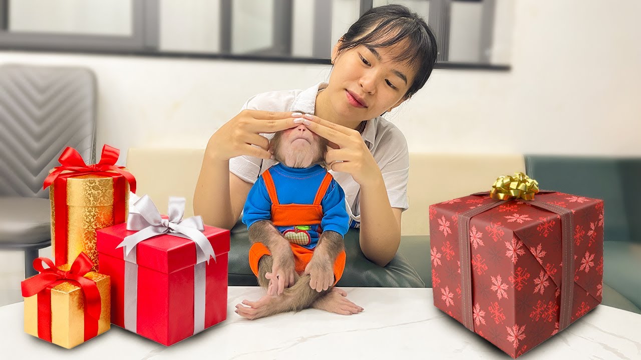 Aunt's special gift for Cubis!