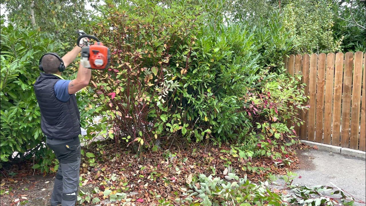 Cutting Back Hedges And A good Clean up After YouTube