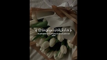 القارئ:احمد الخضر/سورة الكهف💗