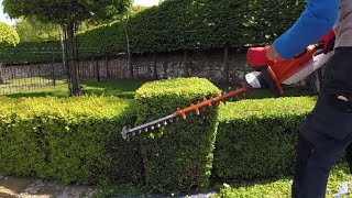 Hedge Trimming, small Box / Buxus hedge by jason Gardener 56,755 views 2 years ago 10 minutes, 49 seconds