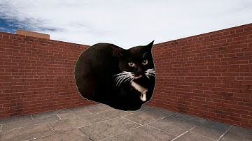 try to run away from dancing maxwell