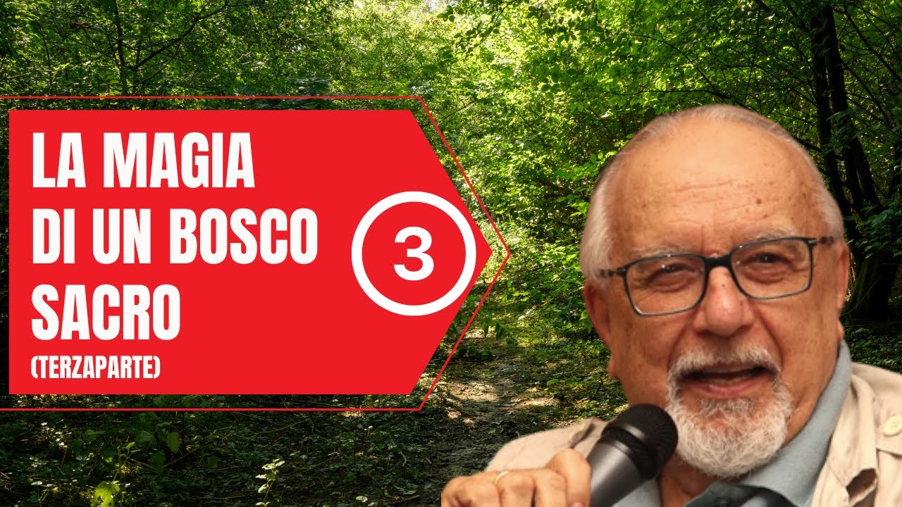 La magia di un Bosco Sacro (terza parte) YouTube La magia di un Bosco Sacro (terza parte) YouTube