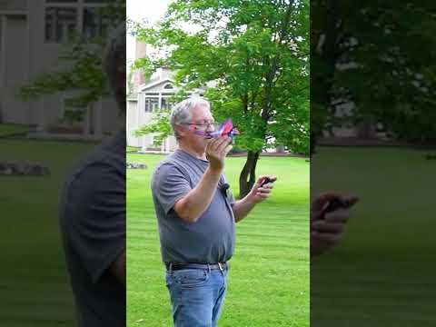 Birds are not