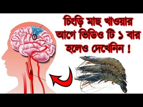 ভিডিও: আপনি কি চিংড়ির খোসা খেতে পারেন?