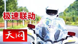 《天网》多警种不再各自为战 “情指行一体化体系”如何做到接警即研判？20260911