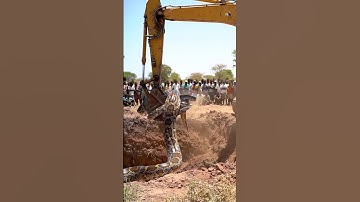 Big Python Catch Part 3 😱 #shorts #shortvideo #viral #trending #youtubeshorts #shortsfeed