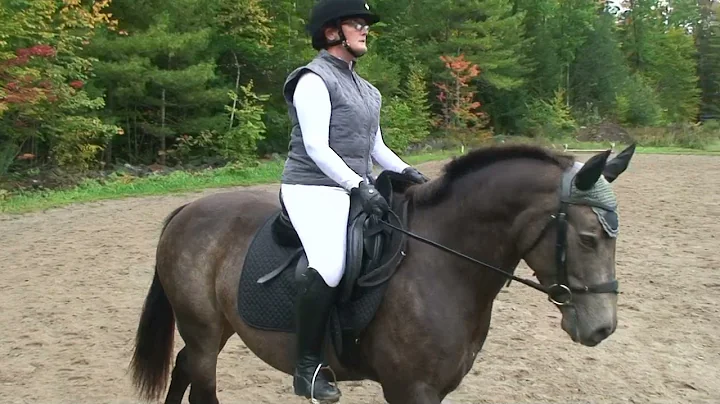 Christina Keim and DRF IsabelaTraining Level Test ...