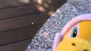 Boomerang Bro Goes To The Beach