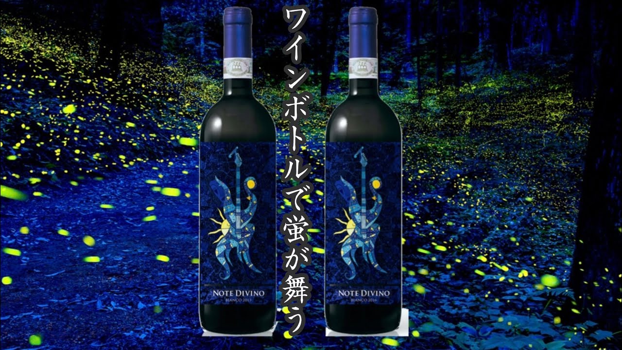 高見沢さんオリジナルワインセット『NOTE DIVINO』〔THE ALFEE〕 ワインボトルでホタルが舞う…高見沢さんの美しいワイン《Note