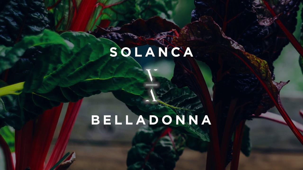⁣Solanca - Belladonna