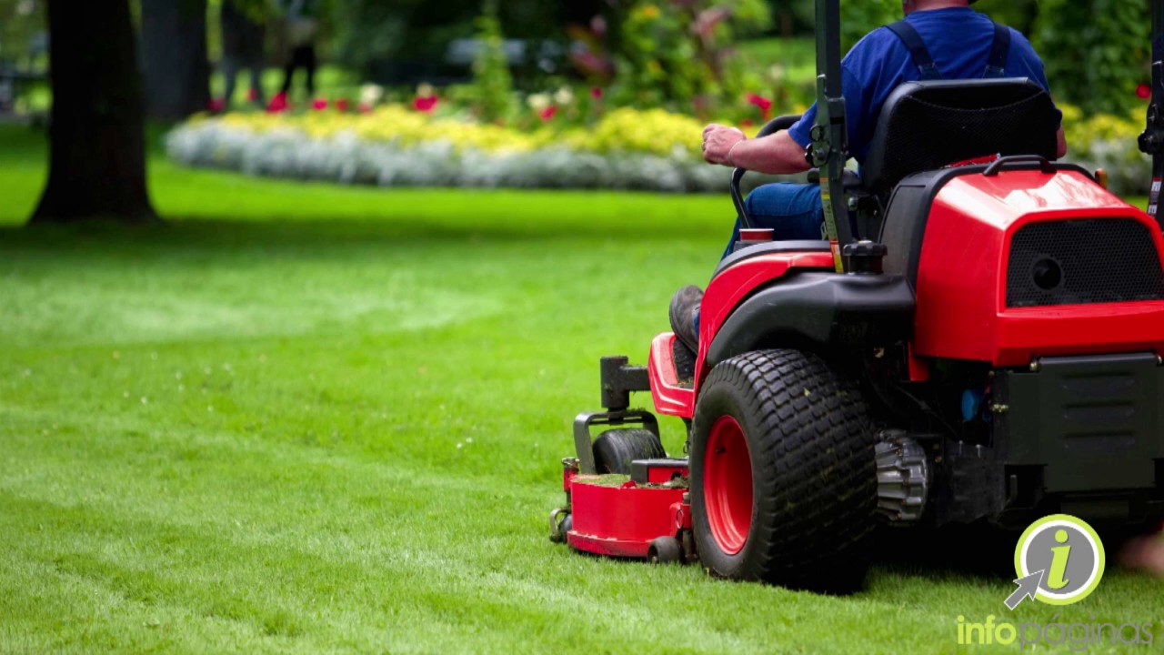 All Green Cleaning and Maintenance (787) 8962944 YouTube