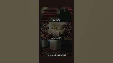 ( أَلَّا تَخَافُوا وَلَا تَحْزَنُوا وَأَبْشِرُوا )#المنشاوي #المصحف #القرأن_الكريم #سورة_فصلت