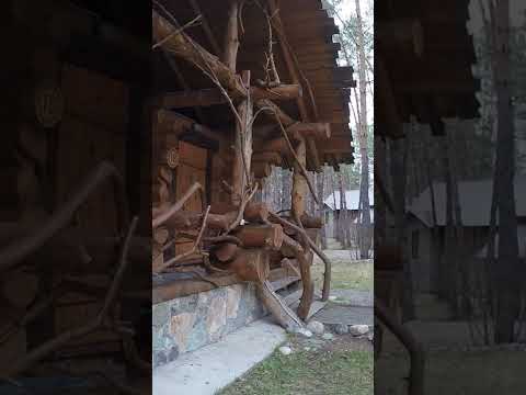 конопля в горном алтае конопля в горном алтае