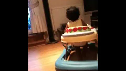 Aleisha's walker