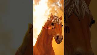 Percheron ⚔️ Friesian #sso #starstable #ssoedit