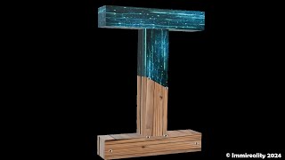 INTRODUCING PPS (IMMIREALITY)